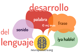 Neurodesarrollo del lenguaje: ¿hablamos? – neuronas en crecimiento